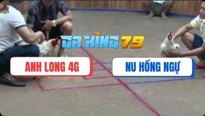 Trận 6 Hà Tiên 7/12/2025 - Úa Hiệu Anh Nu Đá Bướm Anh Long Tắt Sóng 4G