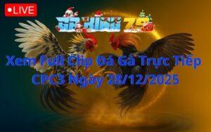 Xem Full Clip Da Ga Truc Tiep CPC3 Ngay 28122025 1