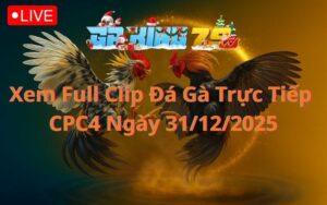 Xem Full Clip Da Ga Truc Tiep CPC4 Ngay 31122025 1