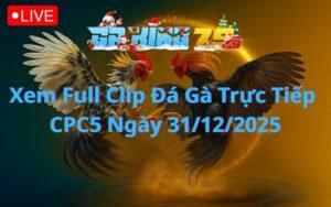 Xem Full Clip Da Ga Truc Tiep CPC5 Ngay 31122025 1