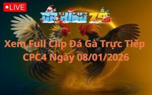 Xem Full Clip Da Ga Truc Tiep CPC4 Ngay 08012026 1