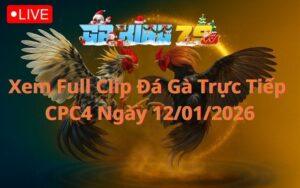 Xem Full Clip Da Ga Truc Tiep CPC4 Ngay 12012026 1