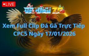 Xem Full Clip Da Ga Truc Tiep CPC5 Ngay 17012026 1