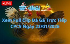 Xem Full Clip Da Ga Truc Tiep CPC5 Ngay 23012026 1