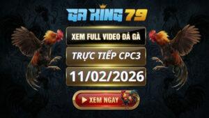 Xem Full Clip Da Ga Truc Tiep CPC3 Ngay 11022026 2