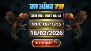 Xem Full Clip Da Ga Truc Tiep CPC4 Ngay 16022026 3
