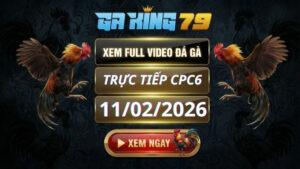 Xem Full Clip Da Ga Truc Tiep CPC6 Ngay 11022026 2