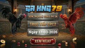 GAKING79 Xem Full Clip Da Ga Truc Tiep CPC2 Ngay 17032026 1