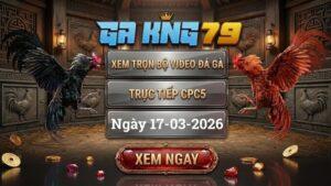GAKING79 Xem Full Clip Da Ga Truc Tiep CPC5 Ngay 17032026 1
