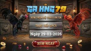 GAKING79 Xem Full Clip Da Ga Truc Tiep CPC5 Ngay 29032026
