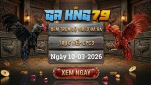 GAKING79 Xem Full Clip Da Ga Truc Tiep CPC3 Ngay 10032026 1