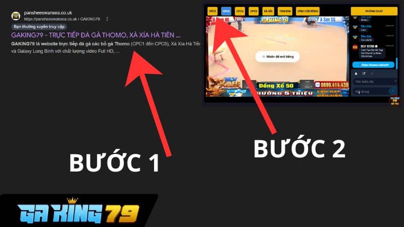 Cách xem đá gà trực tiếp C2 trên GAKING79