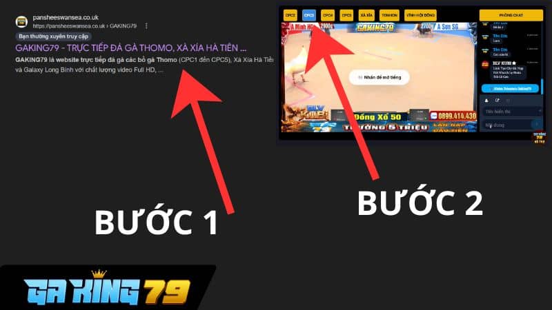 Cách xem đá gà trực tiếp C3 tại GAKING79