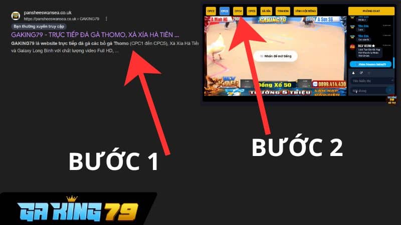 Cách xem đá gà trực tiếp C4 trên GAKING79