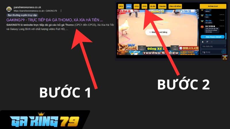 Cách xem đá gà trực tiếp C5 trên GAKING79