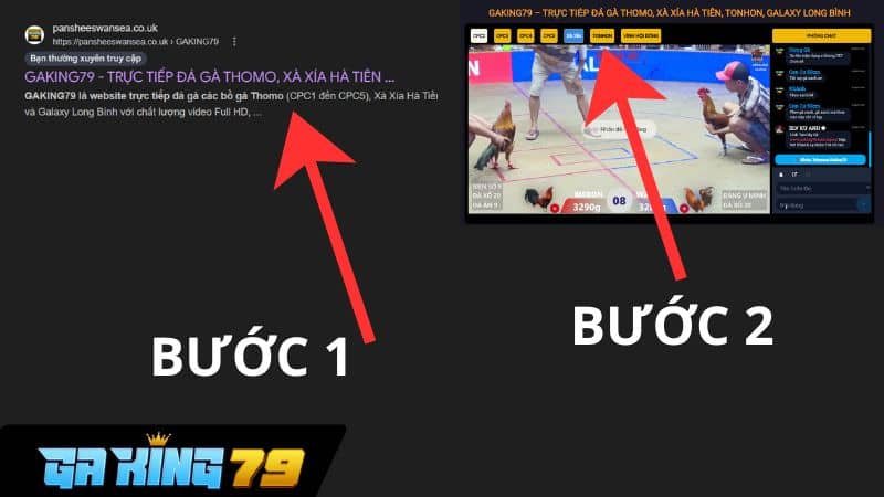 Trực Tiếp Đá Gà Tonhon tại GAKING79 Cách xem trực tiếp đá gà Xà Xía trên GAKING79
