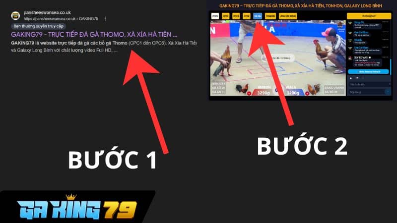 Cách xem trực tiếp đá gà Xà Xía trên GAKING79