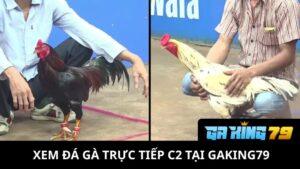Đá Gà Trực Tiếp C2 Tại GAKING79