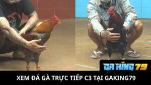 Đá Gà Trực Tiếp C3 Tại GAKING79