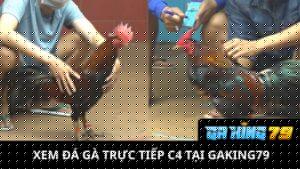 Đá Gà Trực Tiếp C4 Tại GAKING79